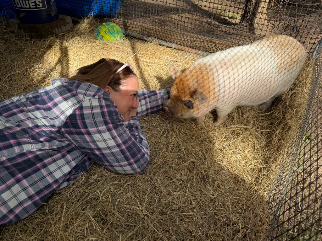 Wife laying down with our Kunekune pig Randi